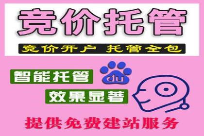 SEM服务助力企业快速增长案例